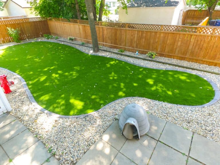 A bright green kidney-shaped synthetic turf lawn in a backyard, bordered by a dark grey decorative concrete curb and light-colored river rock mulch.