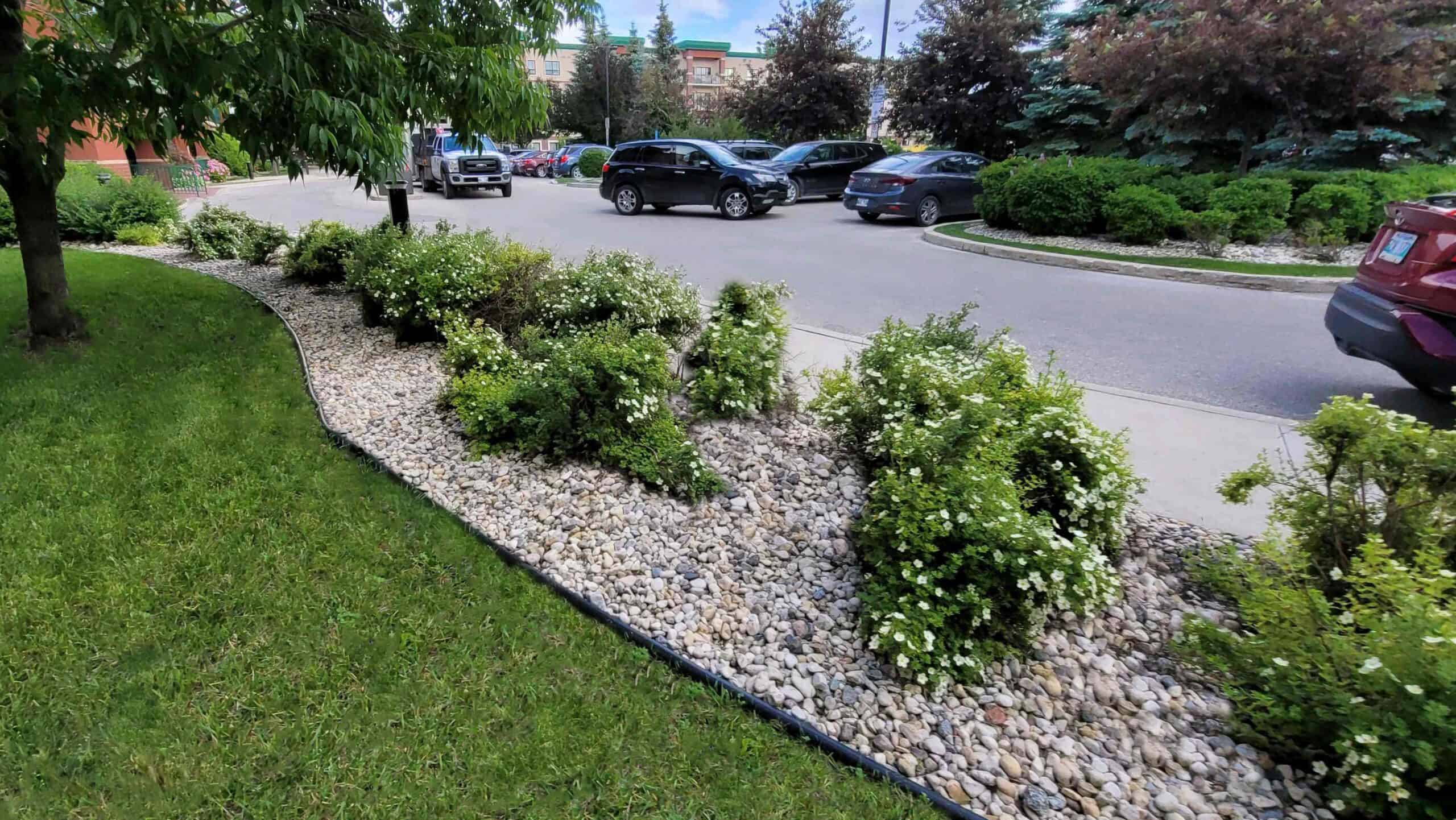 Low-maintenance Winnipeg landscaping with decorative rock and shrubs