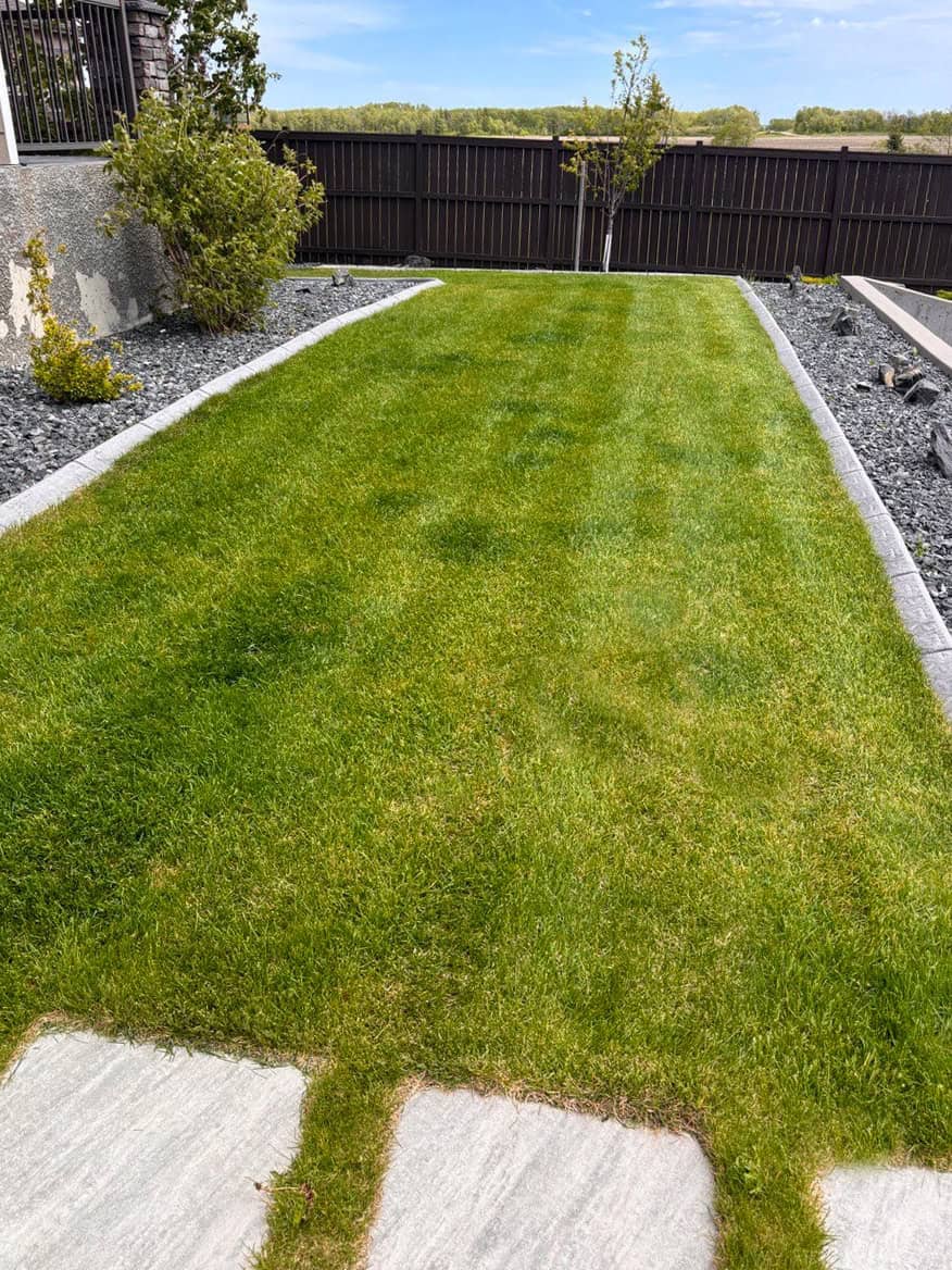 Backyard lawn installation with clean cut edges in Deerpoint Winnipeg project
