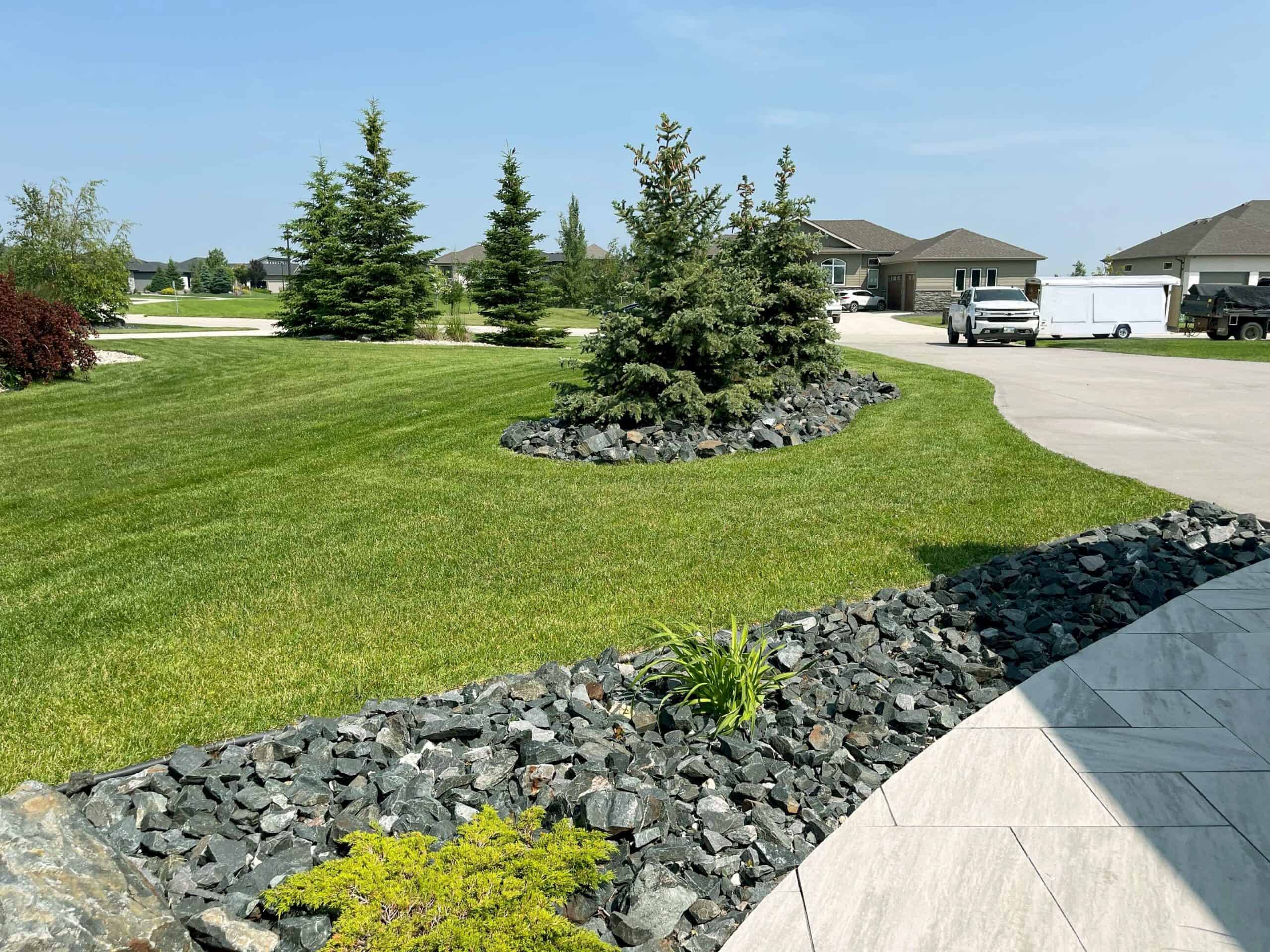 Low-maintenance yard with decorative rocks, evergreens, and turf grass in Deerpoint