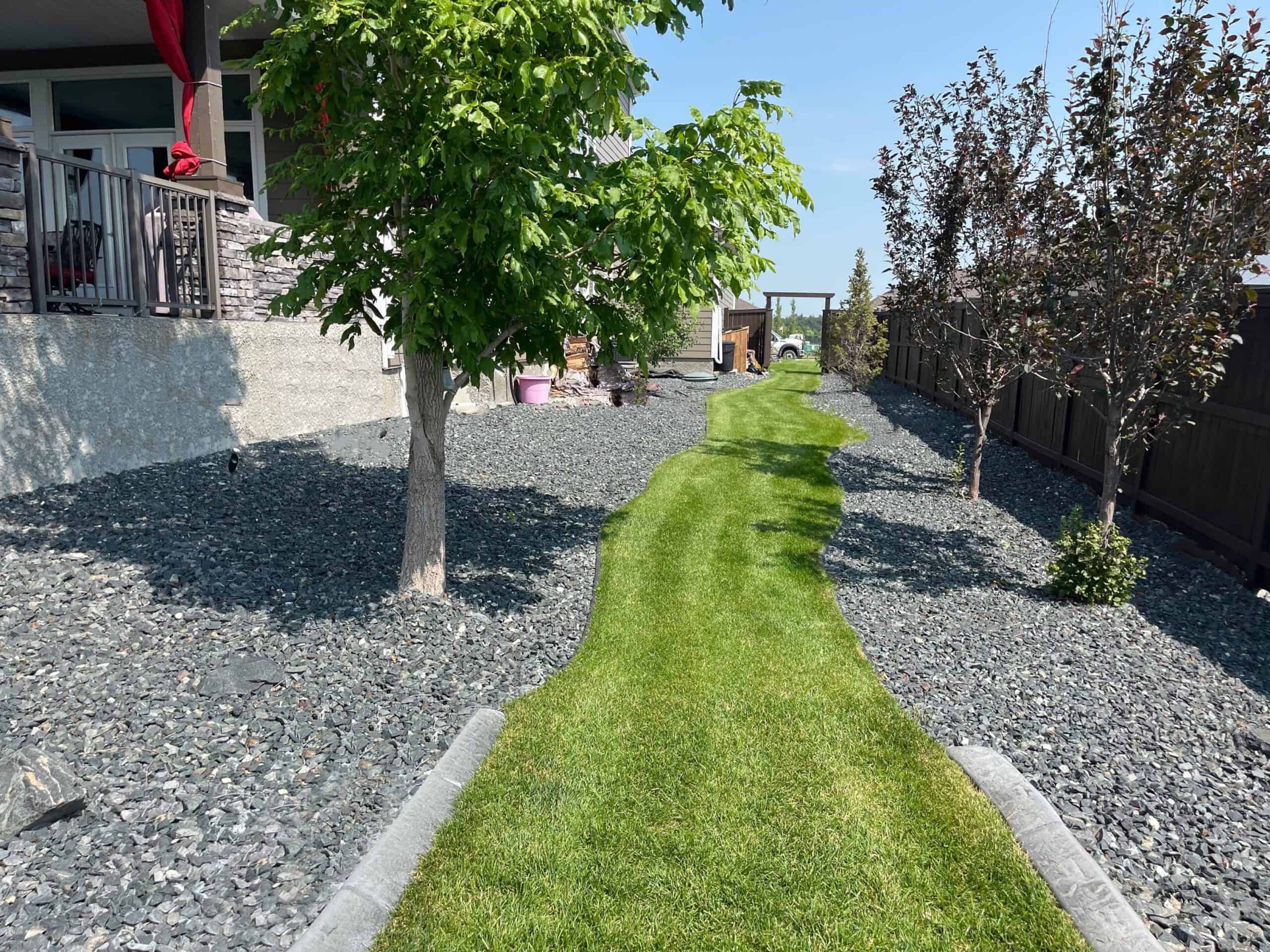 Side yard landscaping in Deerpoint with tree line, stone edging, and healthy turf