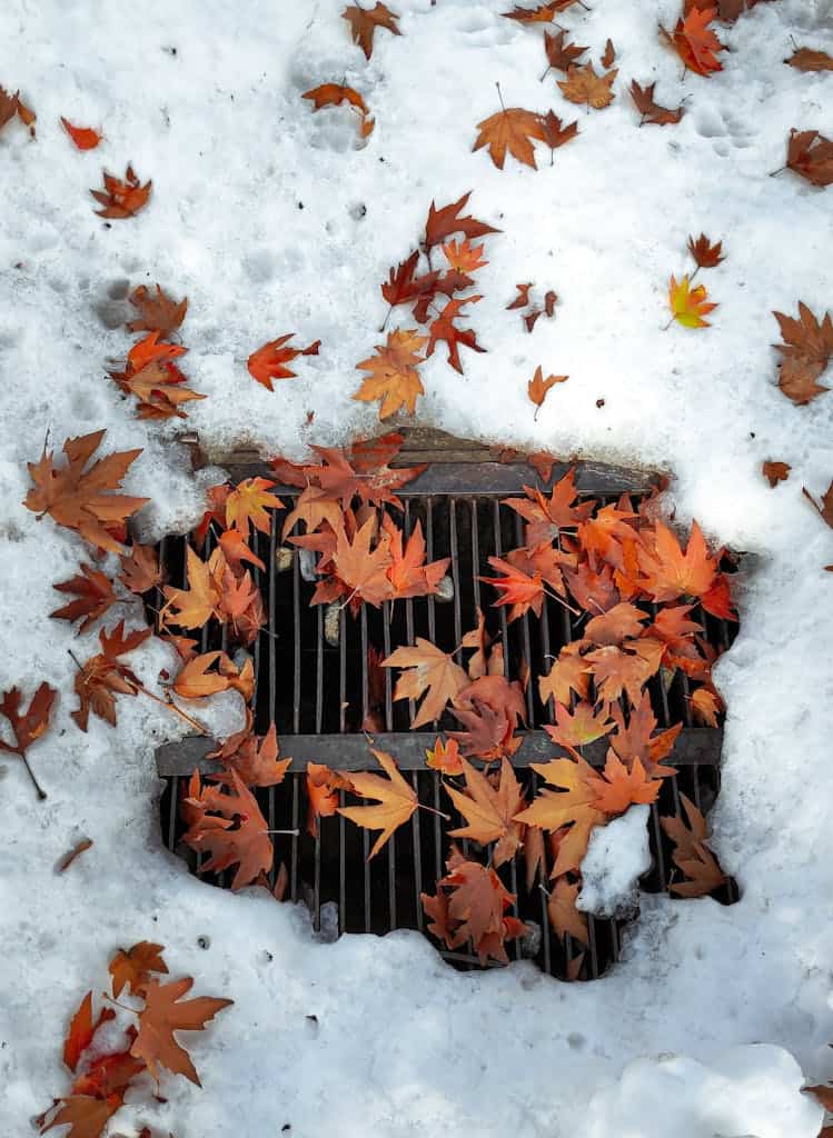 Colorful fallen autumn leaves on a snowy drainage grate, captured from above.